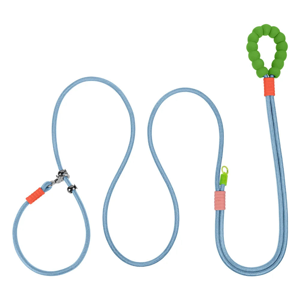 PREMIUM DOG LEASH