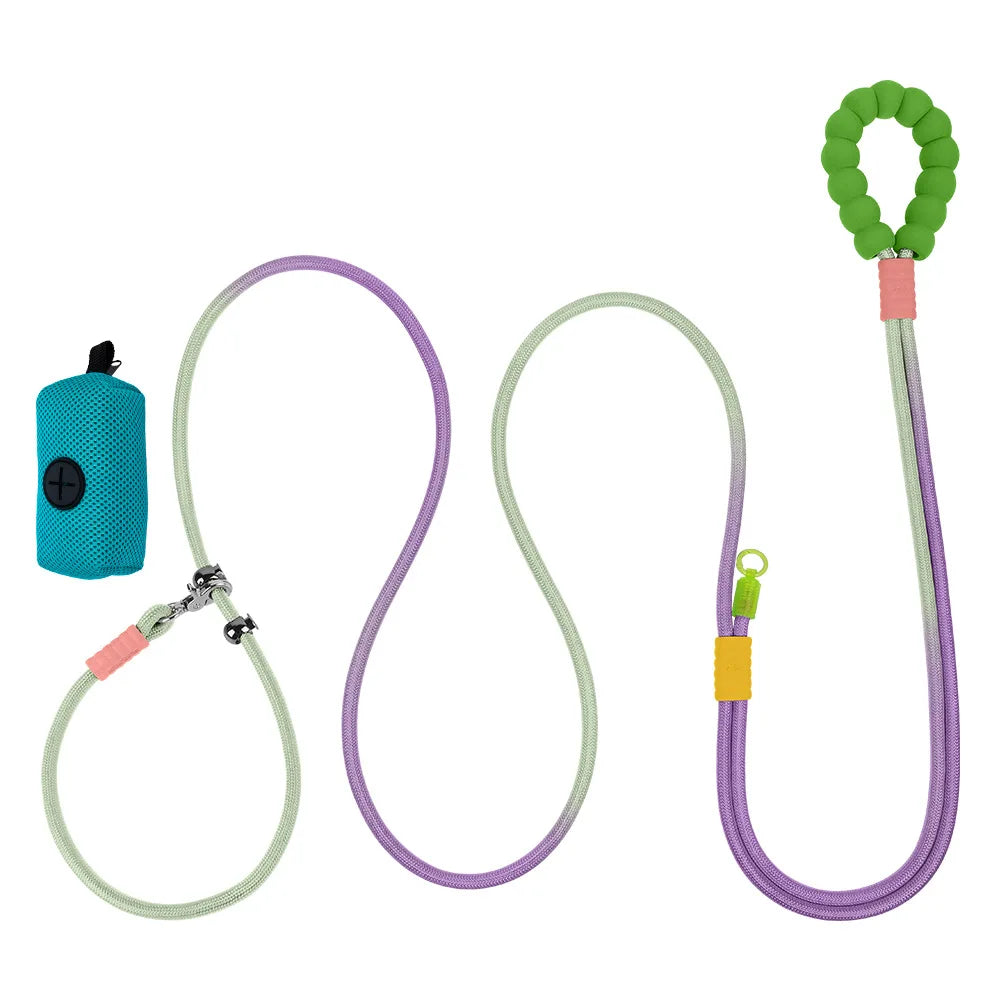 PREMIUM DOG LEASH