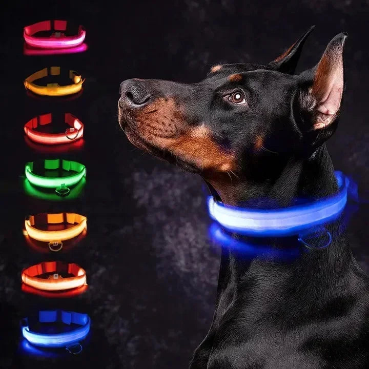 LED PET COLLAR