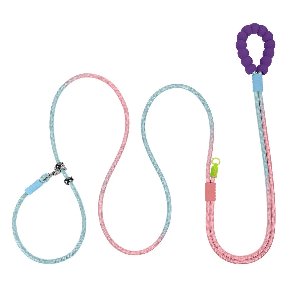 PREMIUM DOG LEASH