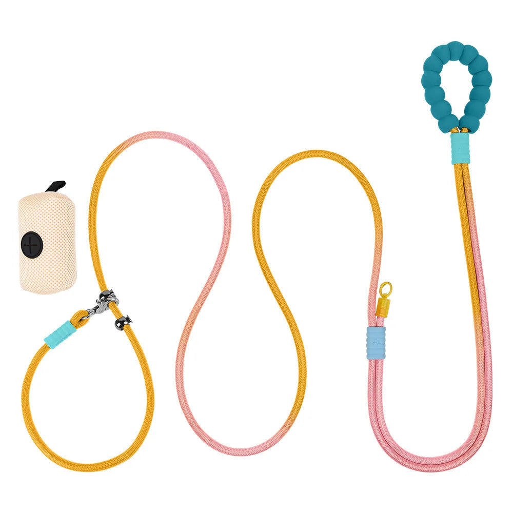 PREMIUM DOG LEASH