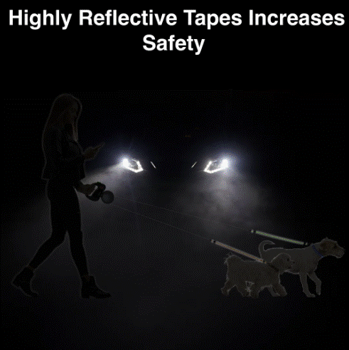 DUAL DOG LEASH