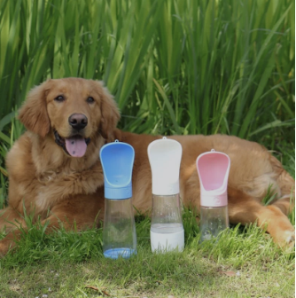 2 IN 1 PORTABLE WATER BOTTLE