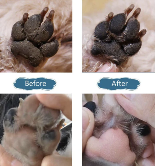 PAW CLEANER