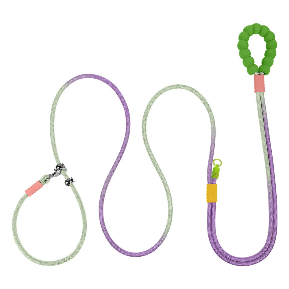 PREMIUM DOG LEASH