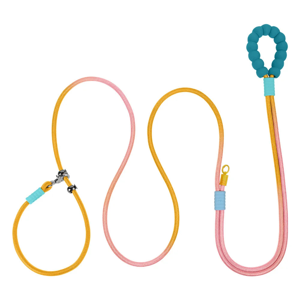 PREMIUM DOG LEASH