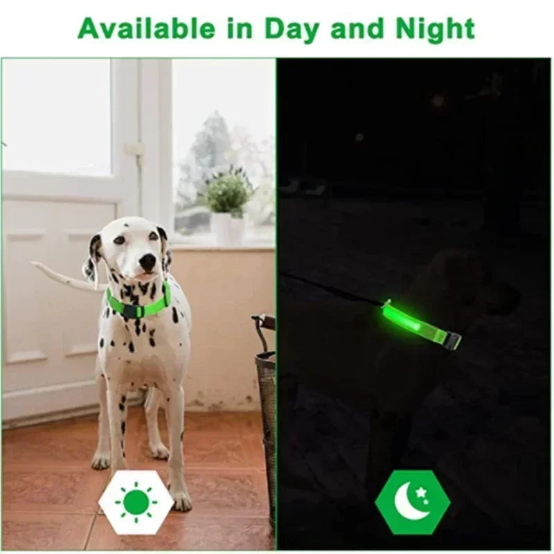 LED PET COLLAR